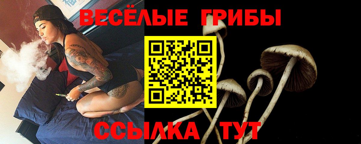 Псилоцибиновые грибы мухоморы  Вход с VPN  Ржев 