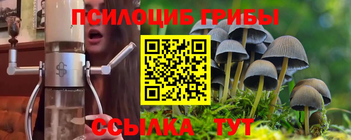 Галлюциногенные грибы ЛСД Ржев